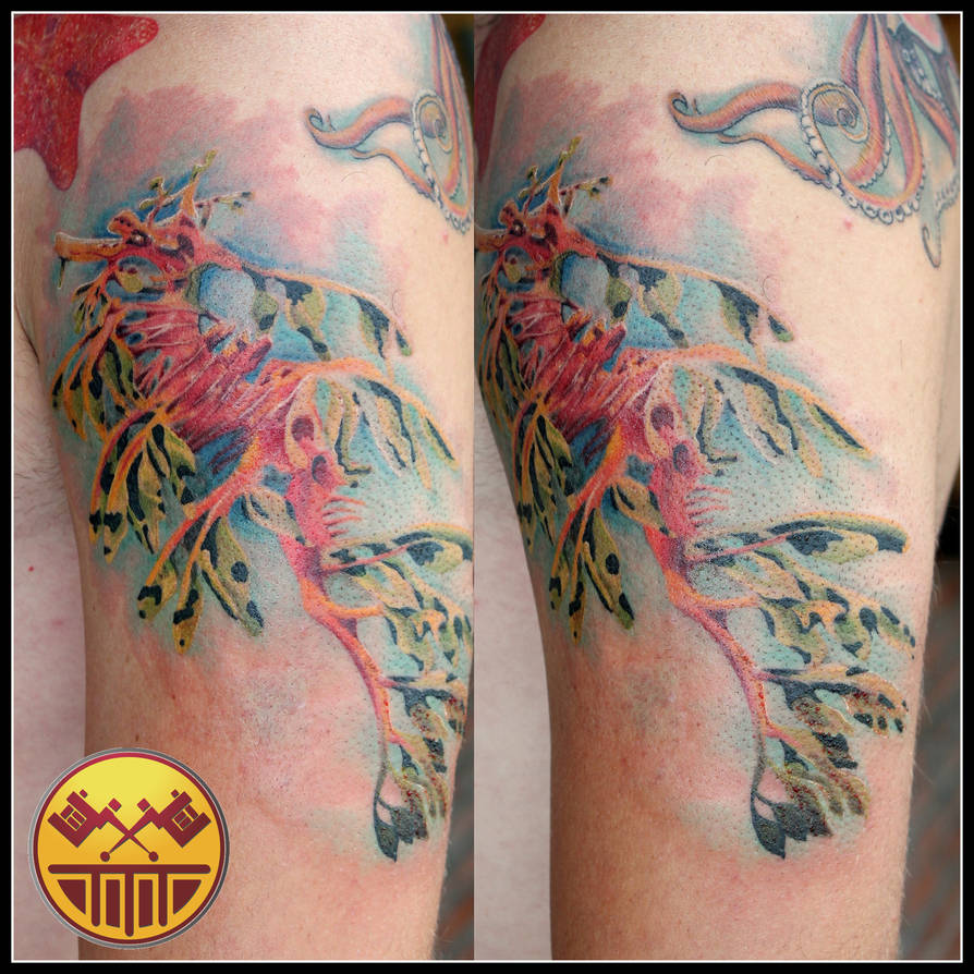 Leafy Seadragon By Xandervoron On Deviantart
