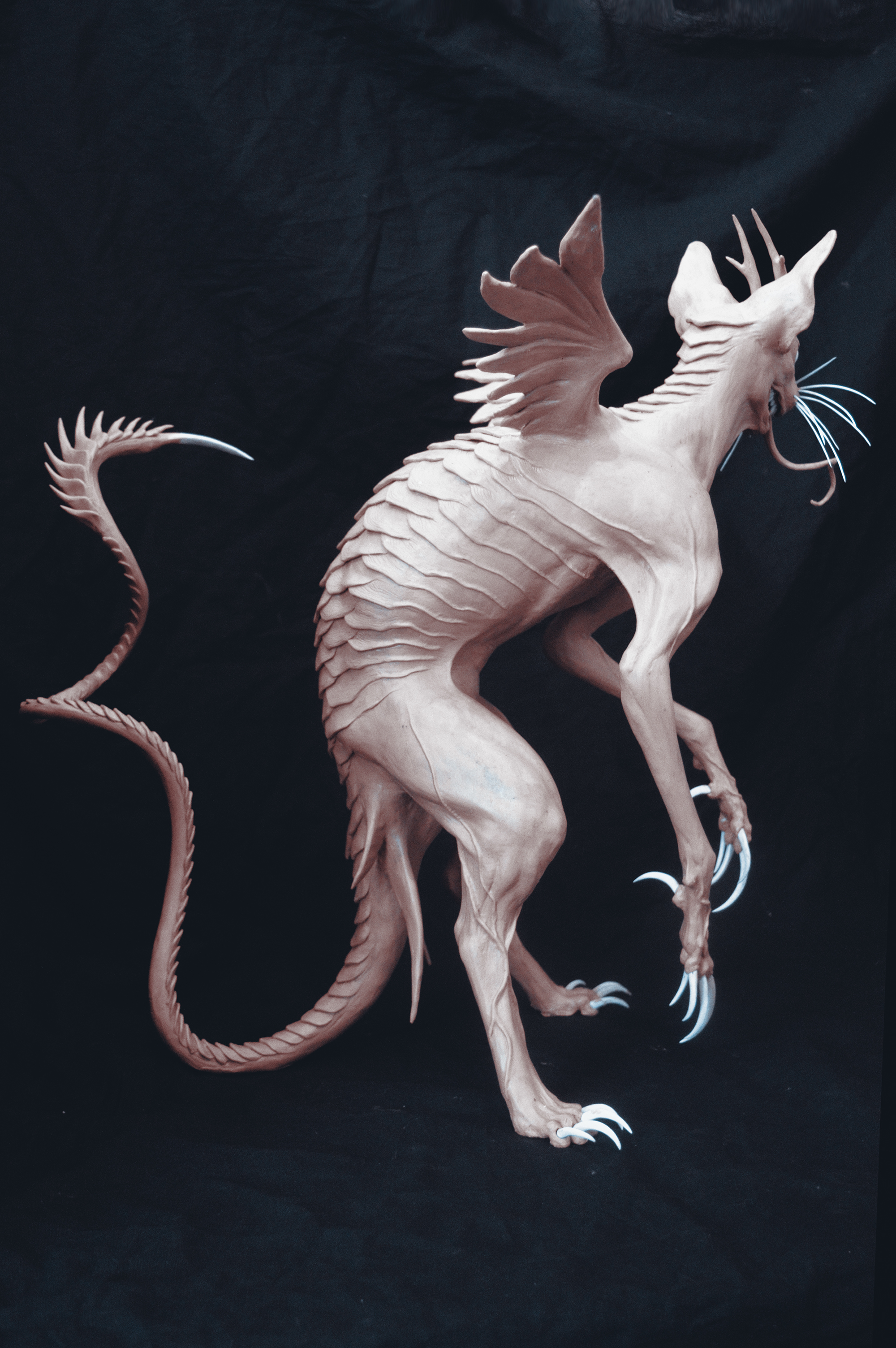 Sea cat 3 by Sadania on DeviantArt Sea cat 3 by Sadania on DeviantArt