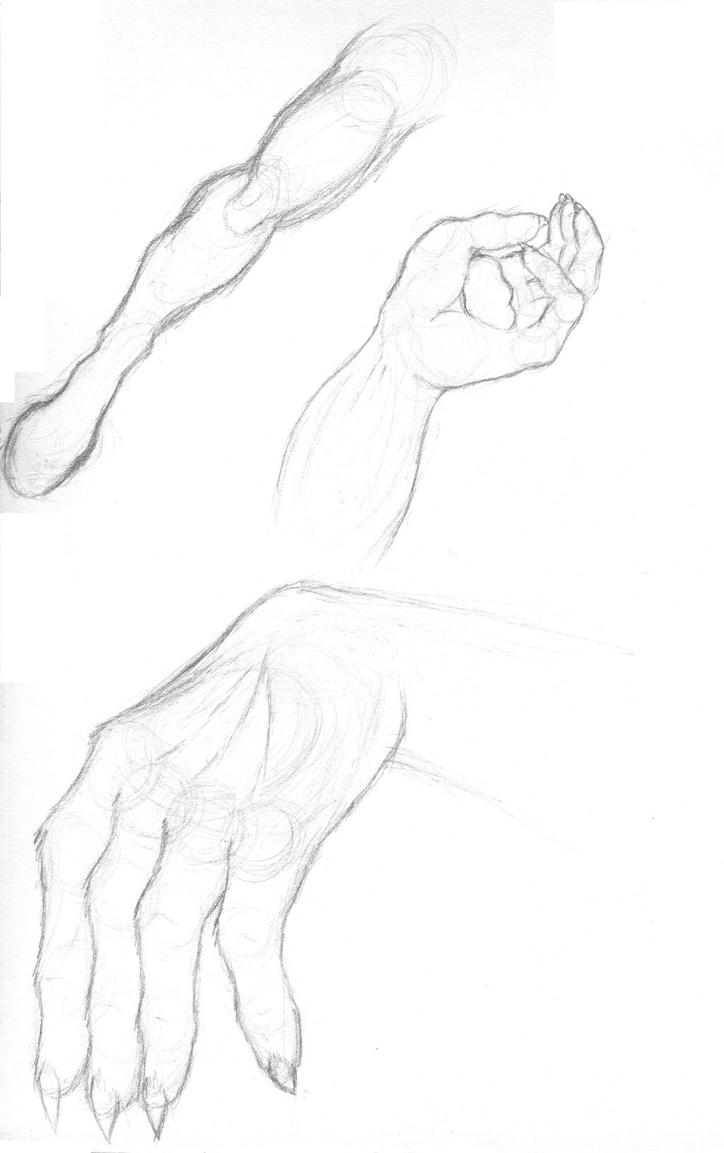 Hands And Leg