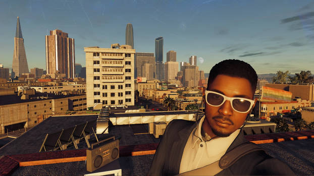Watch Dogs 2 Roofs of San Francisco