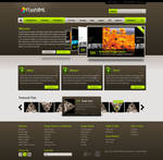 FlashXML Web Design by dFEVER