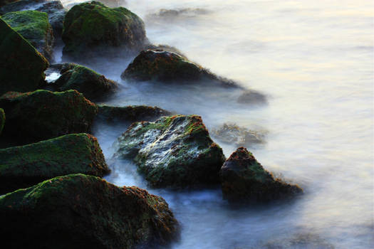 Rocks in the Mist ?