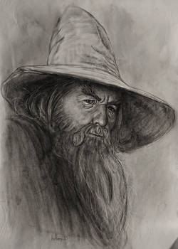 Gandalf the Gray 