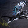 Magpie Griffin