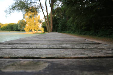 River Sideway walk next to Forest