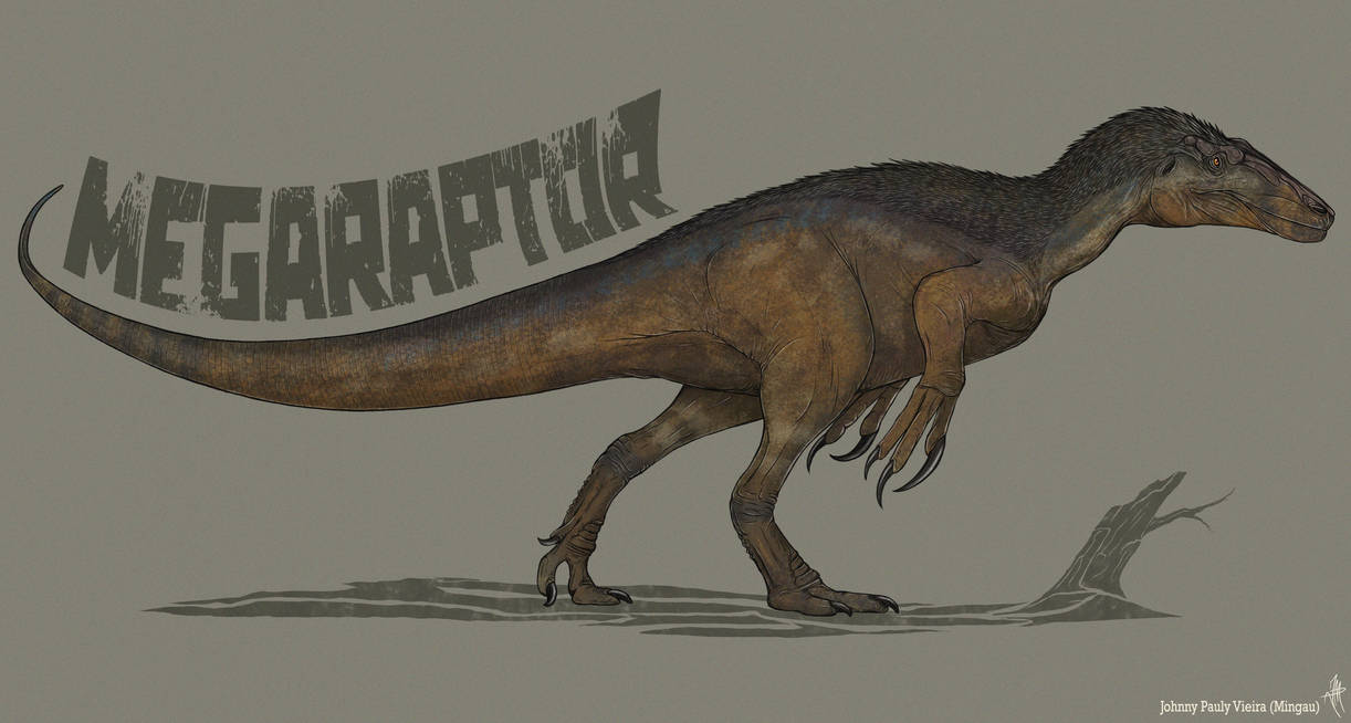 Megaraptor by TheMingau on DeviantArt