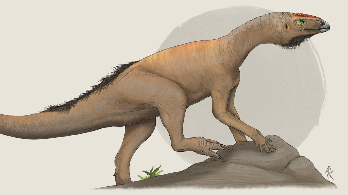 Asilisaurus Asilisaurus by TheMingau on DeviantArt