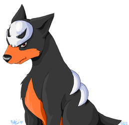 Houndour