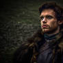 Robb Stark - King of the North