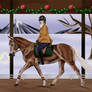 Gulltoppr: Christmas dressage at Auraleyki