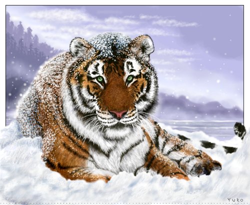 Siberian Tiger in Snow