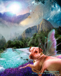 Galaxy Dog.