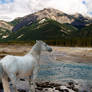 'Mountain Horse'