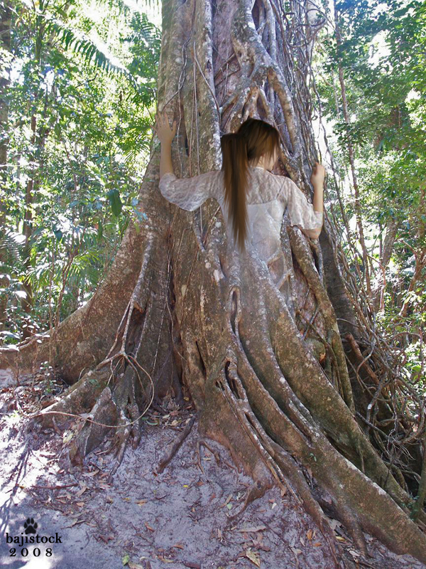 Tree Maiden