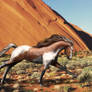 A Desert Run