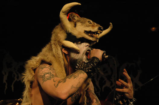 Wolven Ancestry 1