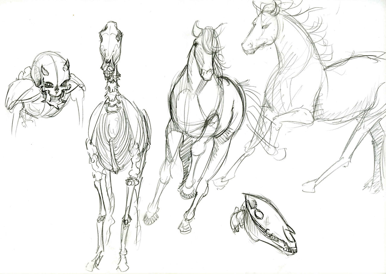 Moar horses