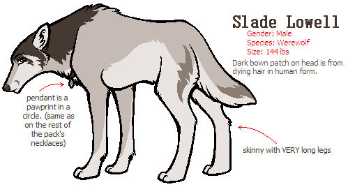 Slade Ref- Quad