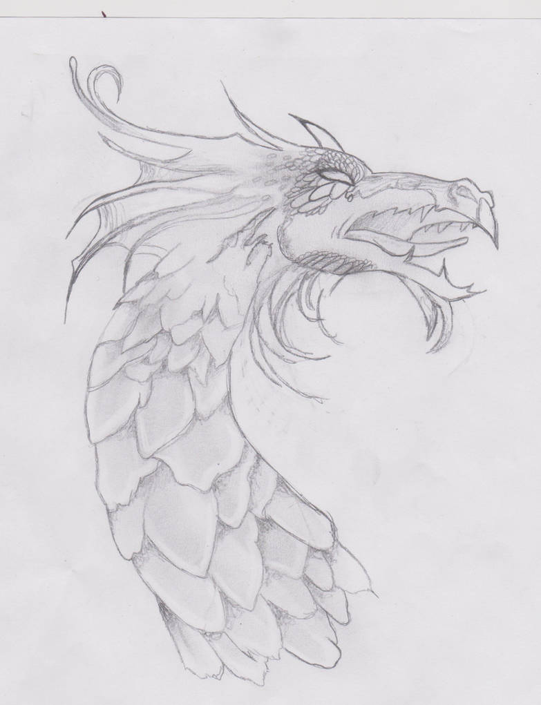 My Second Dragon