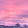 Pink Morning Sky