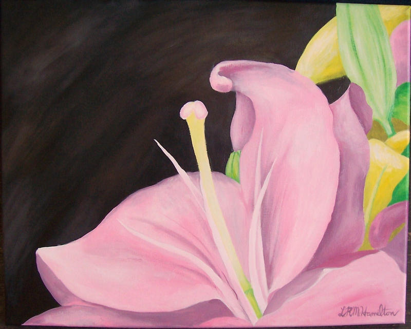 Pink Lily