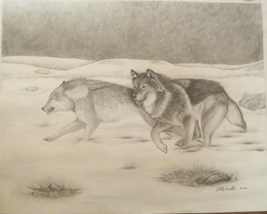 Two Wolves Drawing Base Two Running Wolves Commission by LRMHamilton on DeviantArt