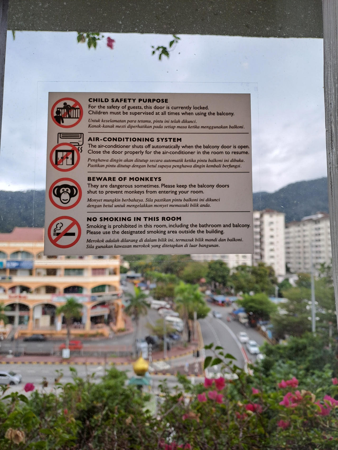 Monkeys Beware!  The Biggest Threats In The Amazon - hfm0u98