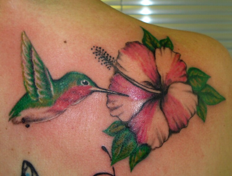 Humming bird and freehand hibiscus