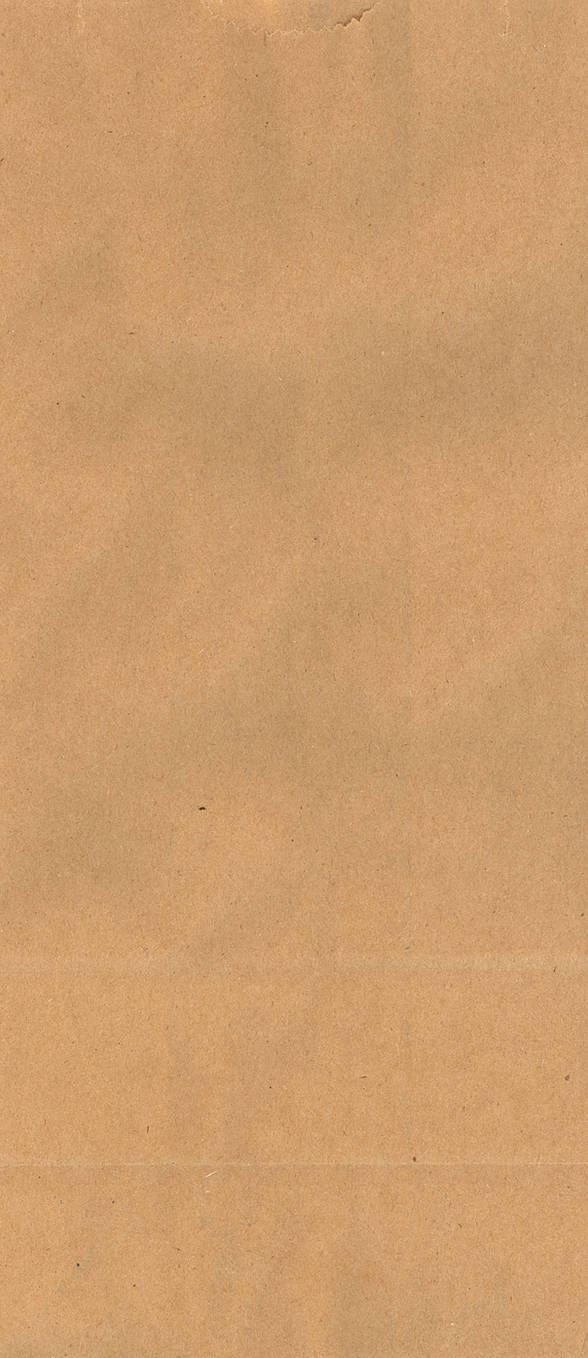 Paper Bag Texture by ThePioden
