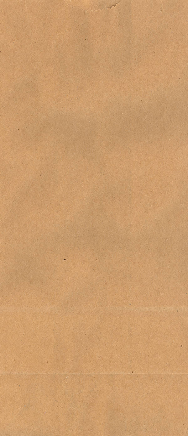 Paper Bag Texture by ThePioden