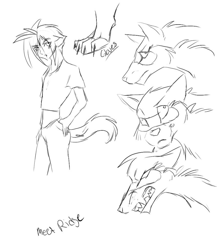 Ridge Sketch by NekoParamore on DeviantArt