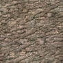 Seamless Tree Bark Texture