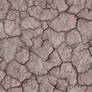 Seamless Cracked Dirt