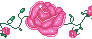 Pink Rose Divider - Free to use