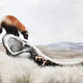 The end of the Ice Age