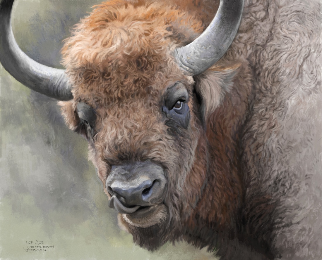 Ice Age steppe bison