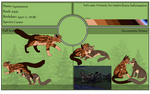 Agamemnon by JudaiDead