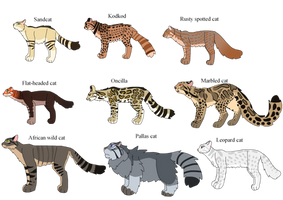 Small cats wpr free adopts