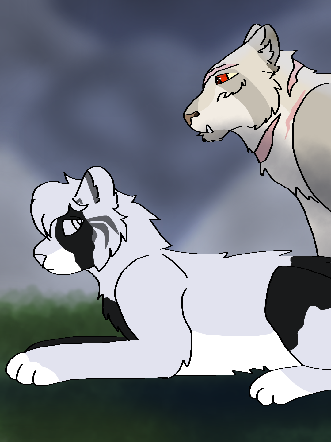 Litter collab