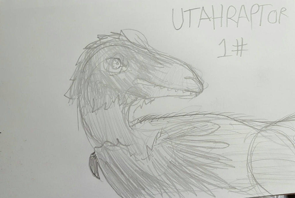 Raptor Sketch First Attempt by Saitrauma on DeviantArt