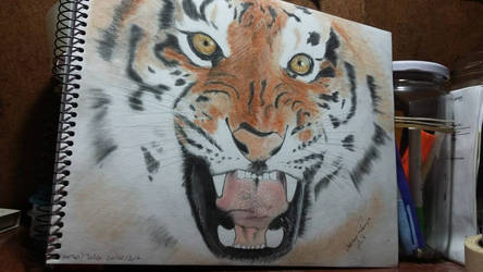 tigre pastel