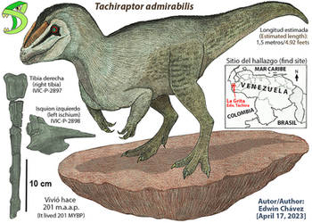 The first theropod dinosaur recorded in Venezuela