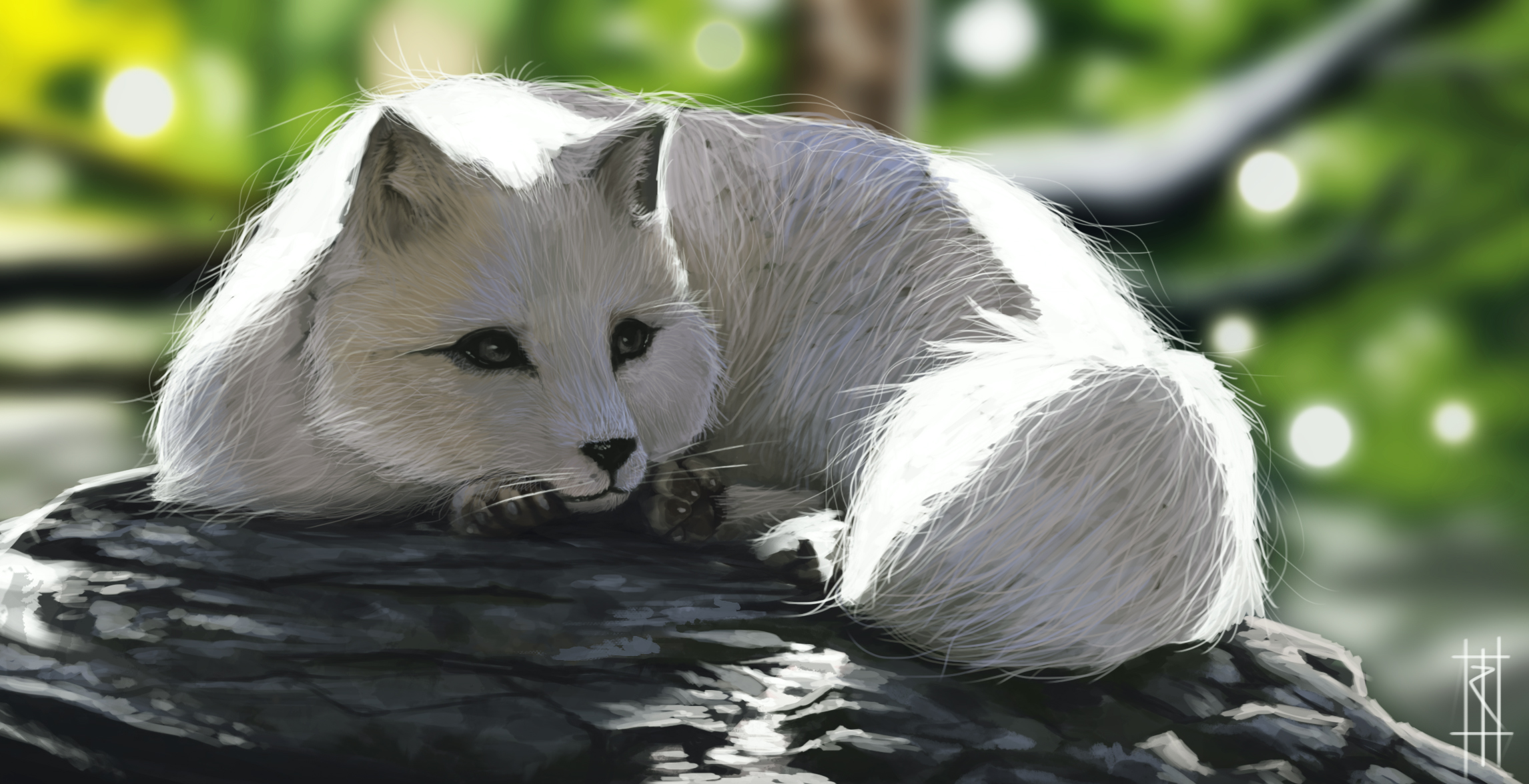 Arctic fox