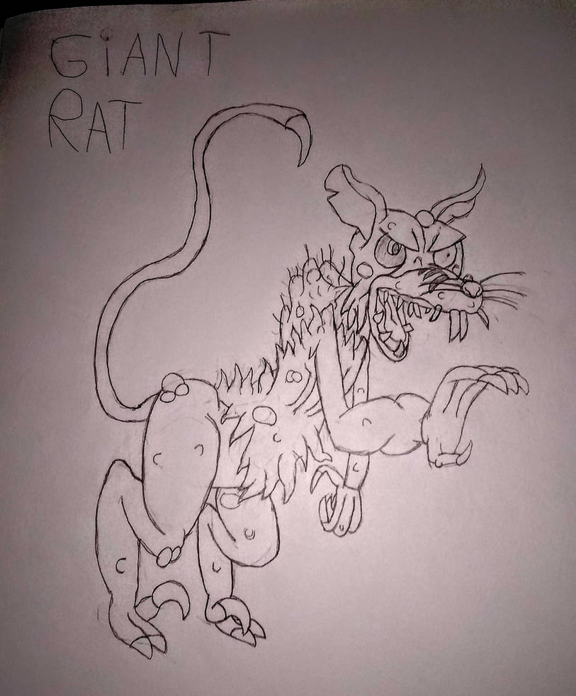 Grotesque Rat Drawing Monster: Giant rat by davetheposom on DeviantArt
