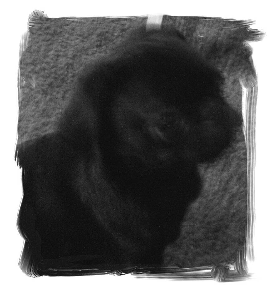 Brendas baby by elphabamonkey on DeviantArt