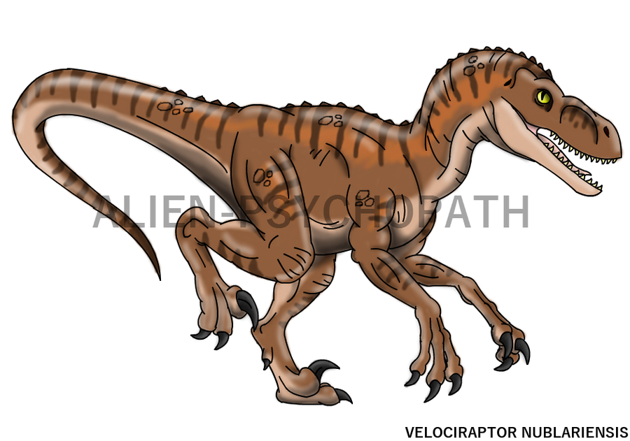 Jurassic Park: Female V.nublariensis by Alien-Psychopath on DeviantArt