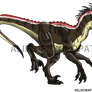 Jurassic Park: Male V.sornaiensis