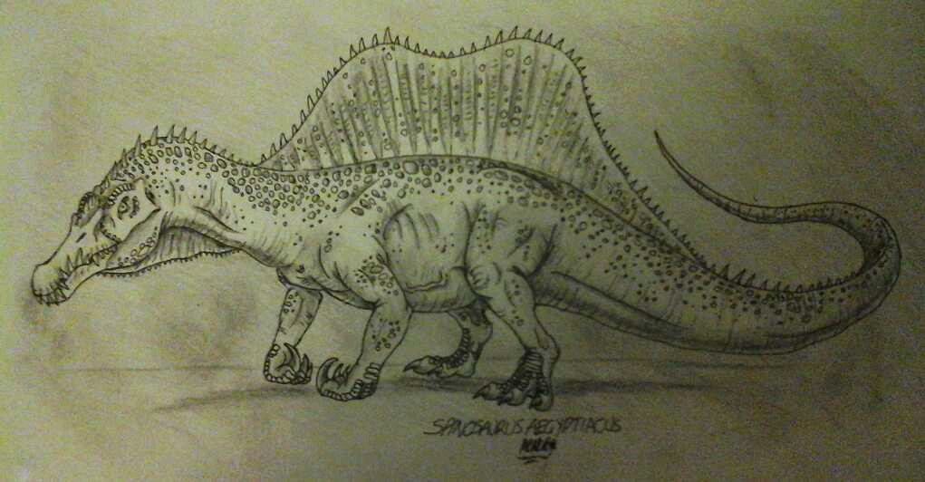 Spinosaurus aegyptiacus 2014