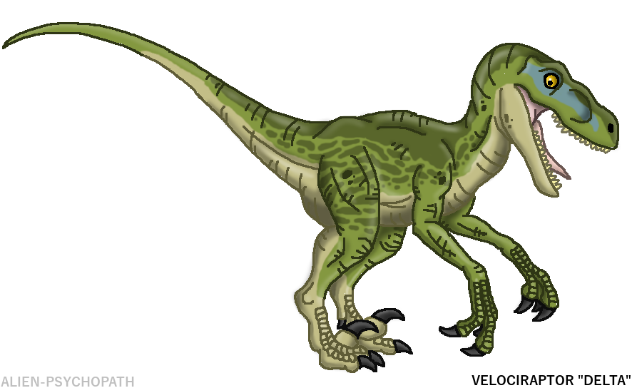 Jurassic World: Raptor Squad - Delta by Alien-Psychopath on DeviantArt