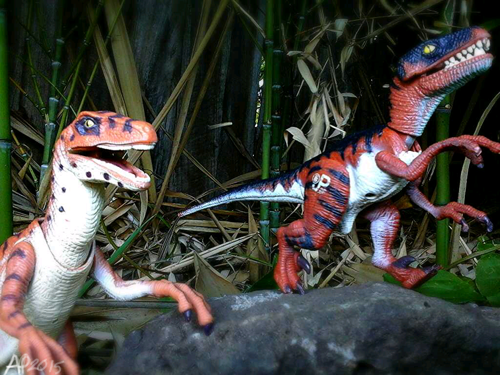 Raptors